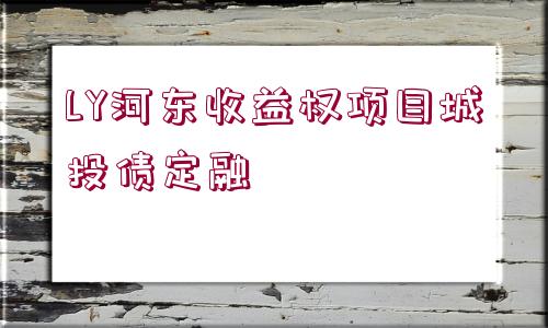 LY河東收益權(quán)項目城投債定融