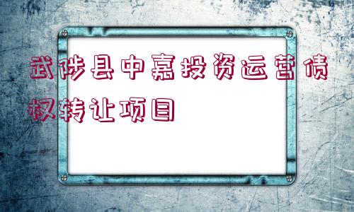 武陟縣中嘉投資運(yùn)營債權(quán)轉(zhuǎn)讓項(xiàng)目