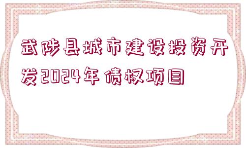 武陟縣城市建設(shè)投資開發(fā)2024年債權(quán)項目