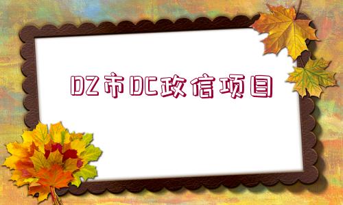 DZ市DC政信項(xiàng)目