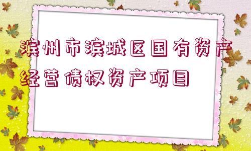 濱州市濱城區(qū)國有資產(chǎn)經(jīng)營債權(quán)資產(chǎn)項目