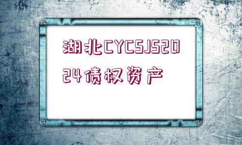 湖北CYCSJS2024債權(quán)資產(chǎn)